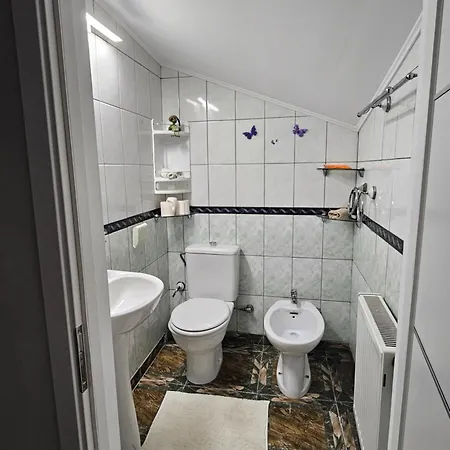 B&B Colosseum 부쿠레슈티