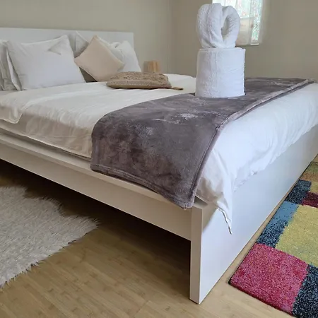 Colosseum Zen Bed & Breakfast