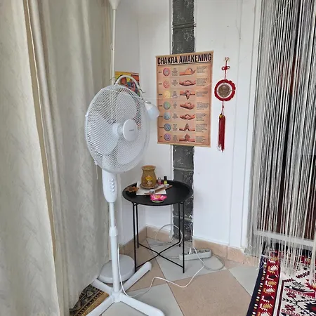 Colosseum Zen Bed & Breakfast Bukurešť